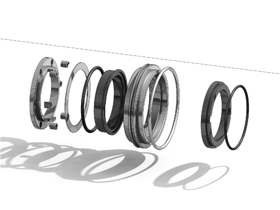 轉(zhuǎn)子泵機(jī)械密封