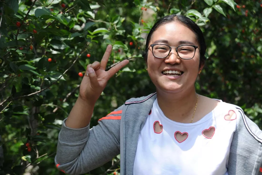 羅德組織春季櫻桃采摘 羅德組織春季櫻桃采摘