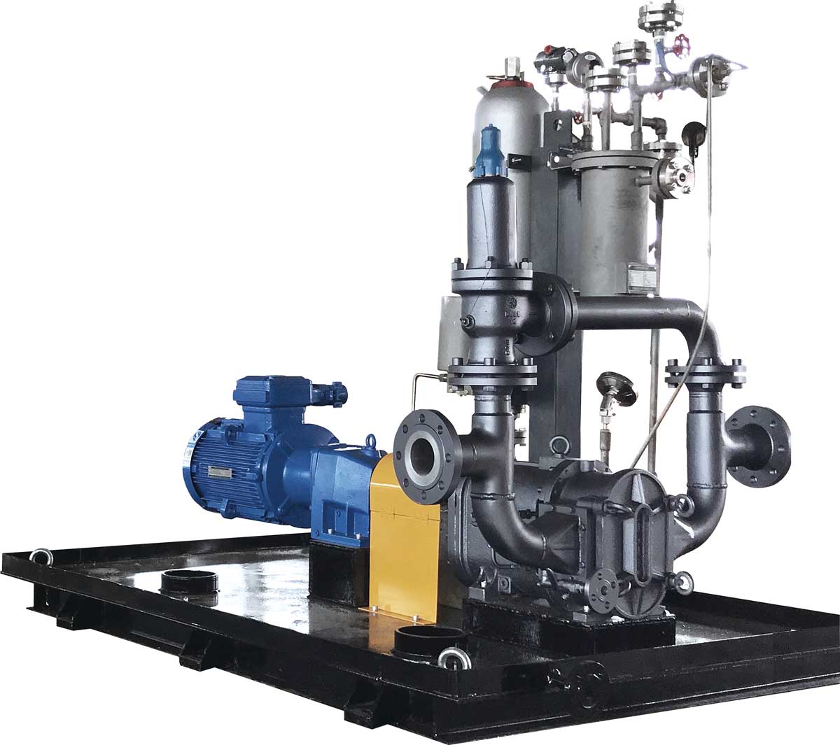 帶機(jī)封沖洗的轉(zhuǎn)子泵系統(tǒng) 帶機(jī)封沖洗的轉(zhuǎn)子泵系統(tǒng)