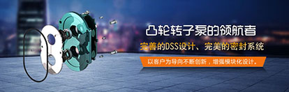 凸輪轉(zhuǎn)子泵解決渣漿泵存在的問(wèn)題