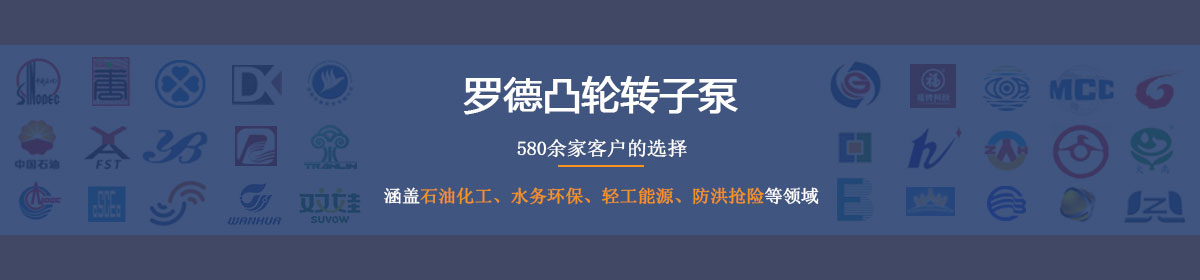 羅德凸輪轉(zhuǎn)子泵--德國(guó)品質(zhì)，中國(guó)價(jià)格