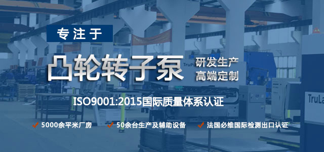 凸輪轉(zhuǎn)子泵生產(chǎn)廠家，專注于凸輪轉(zhuǎn)子泵的研發(fā)生產(chǎn)，高端定制